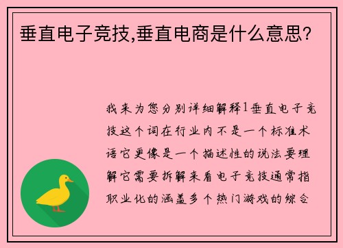 垂直电子竞技,垂直电商是什么意思？